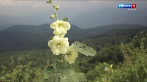 16.30- «Къэлэм лъэуж» от 14.05.2024г. «Гущы1эм имэхьан « от 14.05.2024г. «Дышъэ к1эн» 14.05.2024г. 2
