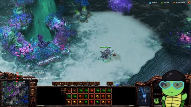 The aviZerg to Grandmasters Games Begin Again Here We Go смотреть онлайн