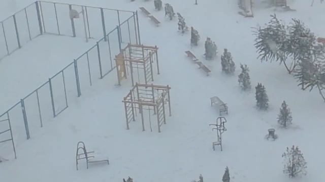 Мои фиалки. На окне лето, за окном метель... смотреть онлайн