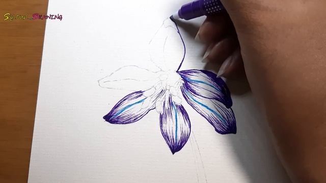How To Draw Scilla Siberica Flowers With Colors | Sinoun Drawing