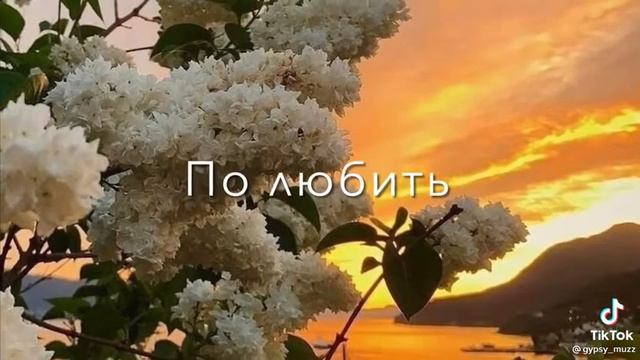 Быть может я еще сумею кого-то встретить, полюбить ❤ #GipsyMuzic смотреть онлайн
