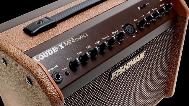 Fishman Loudbox Mini Charge Overview with Greg Koch | Battery Powered | Acoustic Amplifier смотреть онлайн