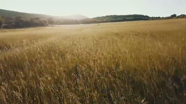 Сердечный зов (поэзия Ольги Асауляк) смотреть онлайн