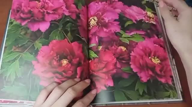 Пионы 🌸🌺🌺 смотреть онлайн