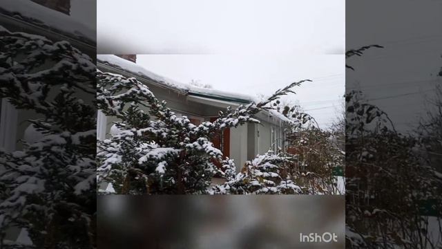 Кава для настрою. У садочку грудень. смотреть онлайн