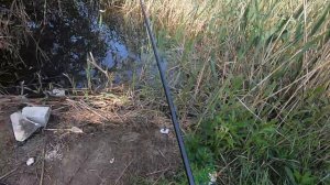 ЛОВЛЯ КАРАСЯ на БОКОВОЙ КИВОК