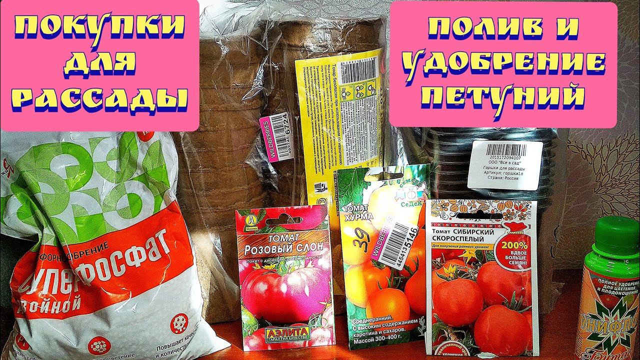 Покупки для рассады. Полив и удобрения рассады петуний. (09.02.2022) смотреть онлайн