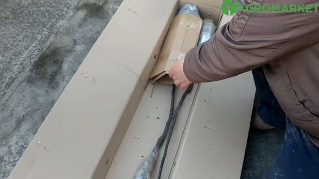 Відгук Агромаркет Альона 161212722467 смотреть онлайн
