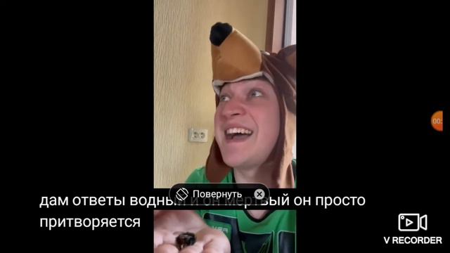 Домашнее животное. Вайн Grey Ship. (Грей Шип).🐝🤣 смотреть онлайн