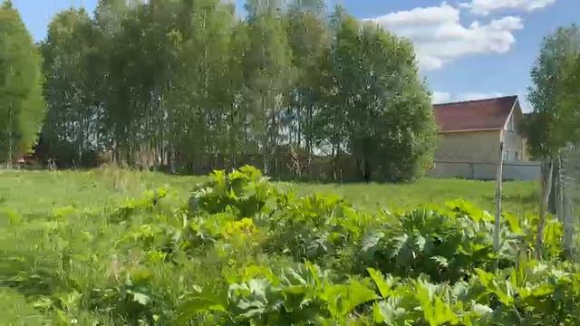 Видео д. Новая зу :1301 смотреть онлайн