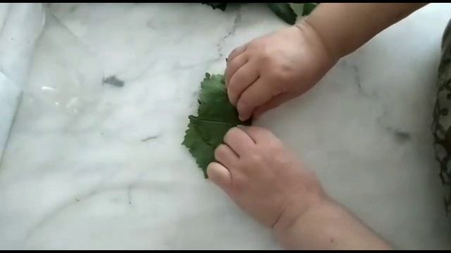 Виноградные листья для Долмы-Заготовка на Зиму-два Способа. смотреть онлайн