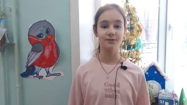 Вера Глебова, 5а класс. Школа № 93 г. Омск. Новогоднее поздравление! смотреть онлайн