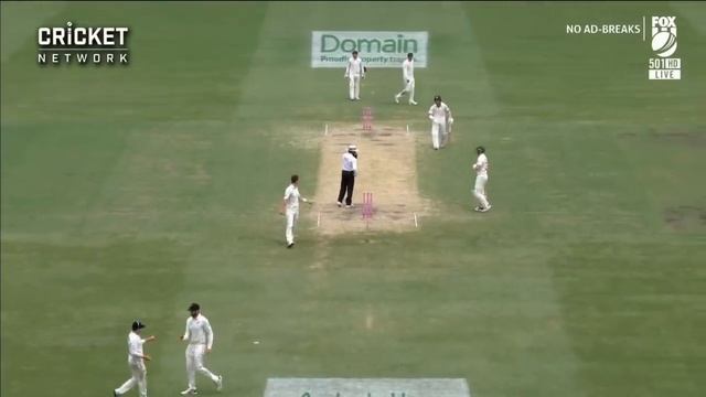 Australia penalised five runs for running on the pitch | Domain Test Series 2019-20 смотреть онлайн
