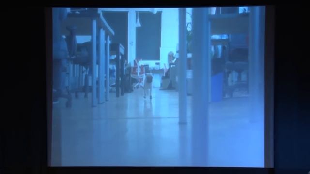 Jared Kushner: CEO of Kushner Companies смотреть онлайн