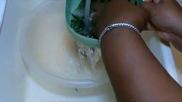 One Acre Homestead VLOG | REPLACE SUGAR WITH THIS AMAZING HERB Stevia Extract смотреть онлайн