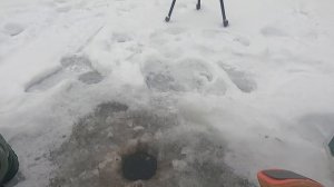 Плотва на мормышку - Техника, Поиск и Тактика по ловле плотвы зимой 2020-21.