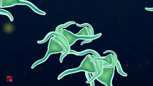 Climate Change, Marine Microorganisms & ALIENS — Animation