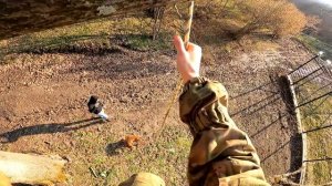 Опасное спускание по веревке. Что произошло дальше... Агоп снова взлетел !!! Питбули драгон лайф