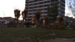 Взаимоотношения японцев, китайцев и корейцев