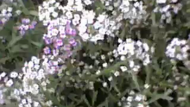 Моя соточка- 23.07.2019 смотреть онлайн