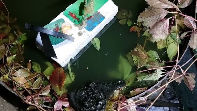 Ритуал с драконом на полнолуние получение ресурсов,полная чистка от негатива,освобождаем душу и вол смотреть онлайн
