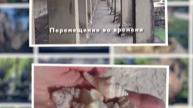 Yoga-Life / Йога-тур в Камбоджу! Затерянный рай) 5-19 ноября 2019 г смотреть онлайн