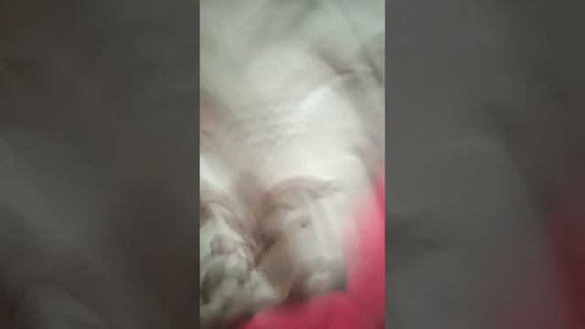 У МЕНЯ ДОМА СТРАШНОЕ СУЩЕСТВО, СТРАШНО!!!#minecraft #стандофф2 #reels #рекомендации смотреть онлайн