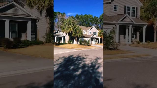 Почему в Америке так чисто? Законы в США 🇺🇸 | Штраф 500 $ в США за газон #сша #америка #сшаблог смотреть онлайн