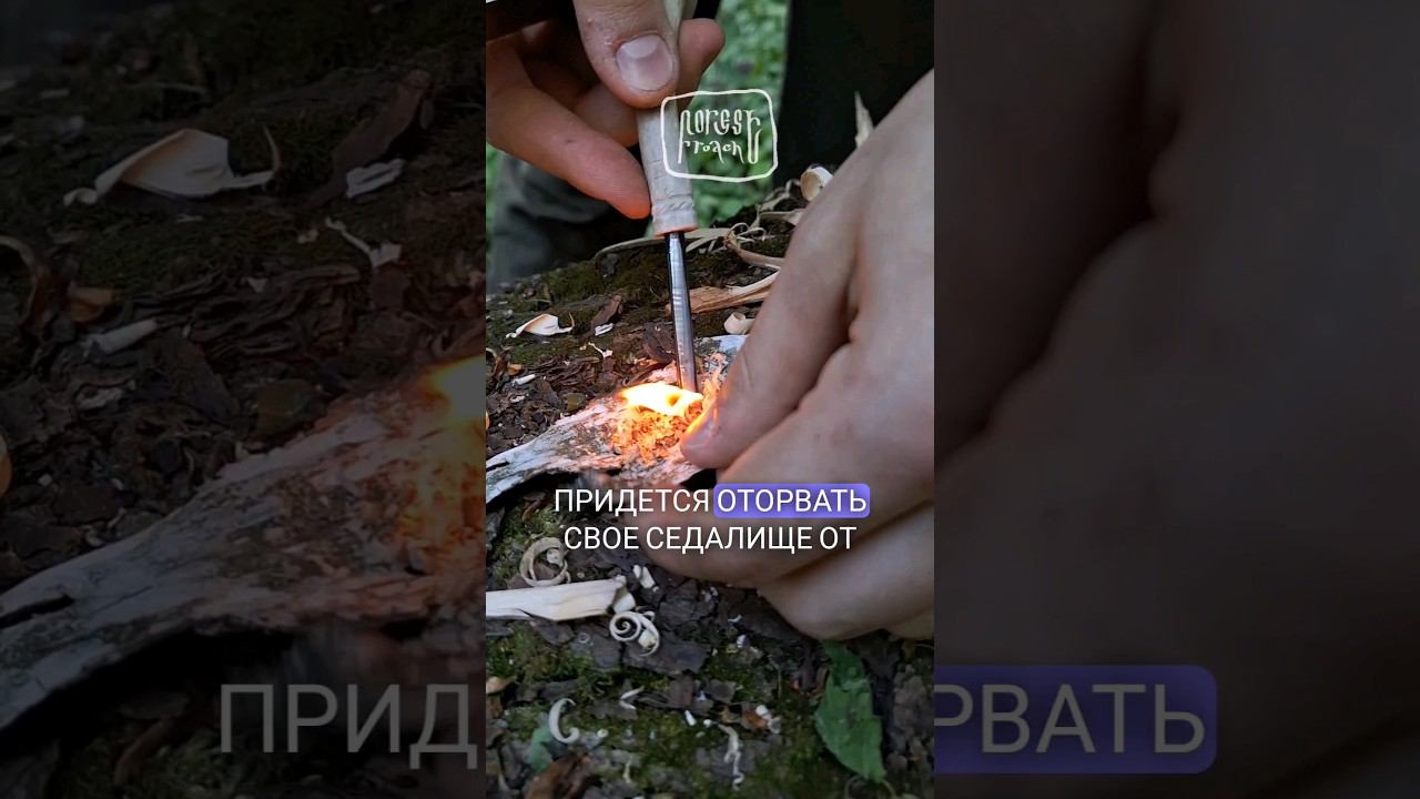 НЕ БЕРЕСТОЙ ЕДИНОЙ РАЗВОДЯТ КОСТЁР! ♂️ #бушкрафт #выживание #охота #рыбалка #лайфхаки #bushcraft смотреть онлайн