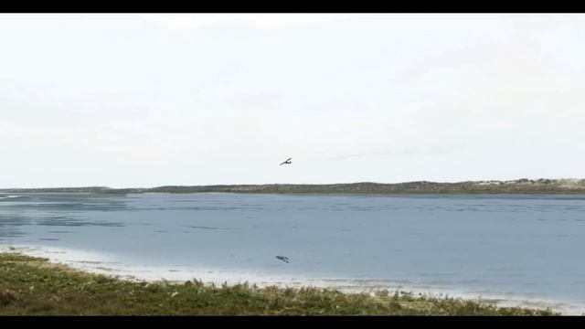 R/C Airplane Gas Engine Trainer fly away with Lenny mix смотреть онлайн