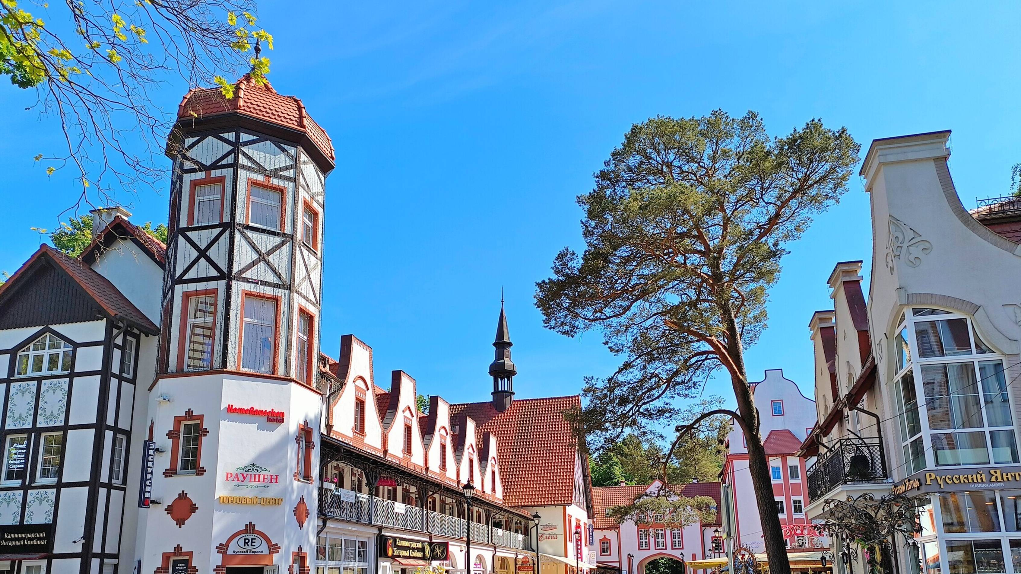 Светлогорск 2024 смотреть онлайн