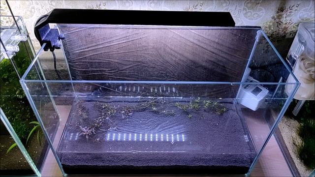 Тестовый аквариум. Запуск на азотном удобрении. смотреть онлайн