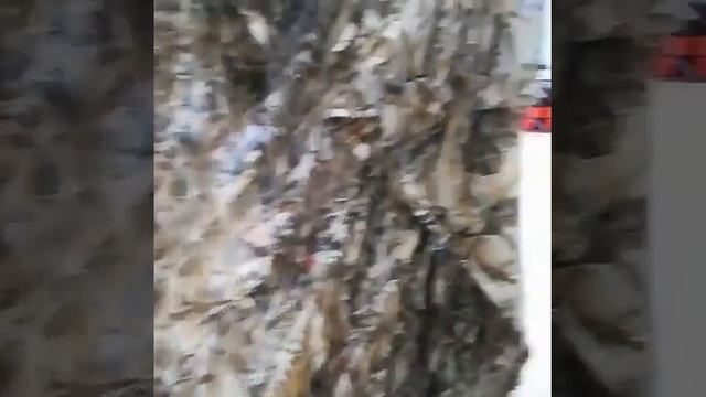 Маскировочная сеть "Сухой камыш" смотреть онлайн