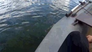 Рыбалка на озере в Красноярске