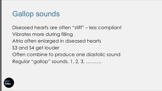 VET Talks- Cardiac Auscultation and Heart Murmurs смотреть онлайн