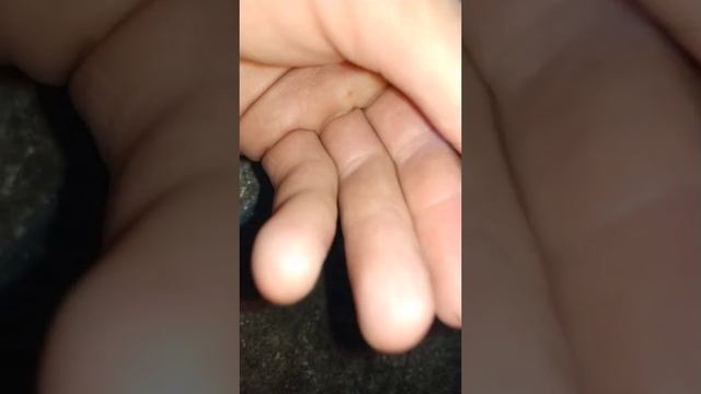 Замена форсунок омывателя лобового стекла приора 2 смотреть онлайн