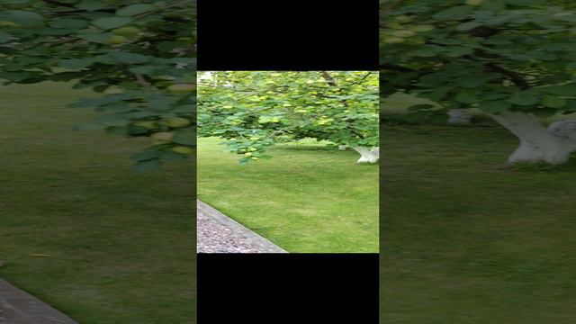 Горизонт-прокол