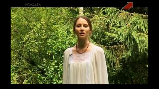 Сбор Земляники В Лесу смотреть онлайн