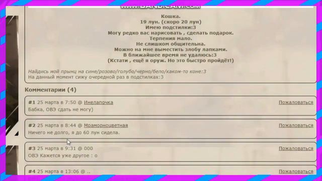 НА СКОЛЬКО ВОЗМОЖНО НАЙТИ ПАРУ В CATWAR? [CatWar]