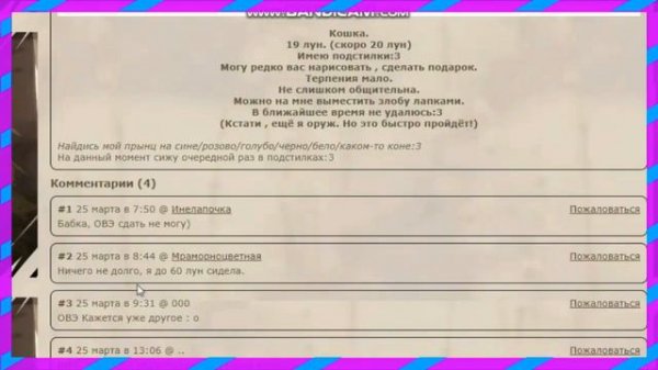 НА СКОЛЬКО ВОЗМОЖНО НАЙТИ ПАРУ В CATWAR? [CatWar]