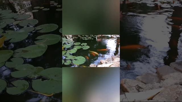 пансионат Кабардинка смотреть онлайн