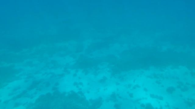 MAKARSKA RIVIERA