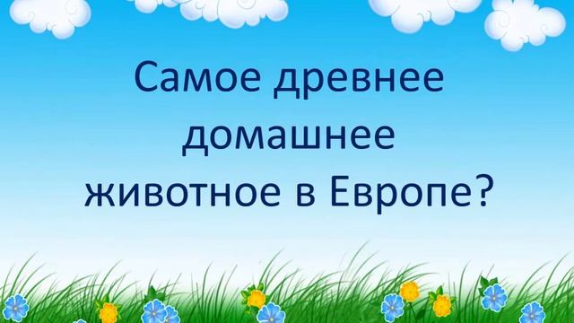 "Вам, всезнайки: викторина для детей младших и старших классов". смотреть онлайн