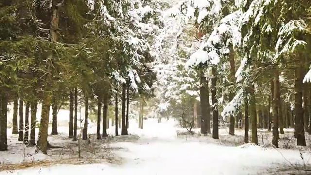 💕🚘ЕЛЕНА ЛАНГЕ: ПУТЕШЕСТВУЕТ С ТРОЕМ ПО МЕКСИКЕ, РОМАНТИКА НА РУИНАХ смотреть онлайн