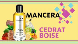 Mancera Cedrat Boise ОБЗОР - Клон ли Авентуса или?..
