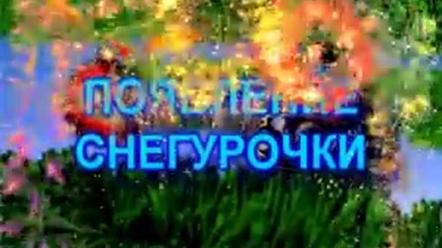 ПОЯВЛЕНИЕ СНЕГУРОЧКИ смотреть онлайн