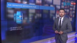 Какая рыба может быть заражена описторхозом