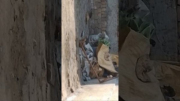 Online Quran Home Tuition .Subscribe.Like.37