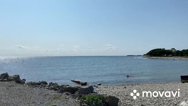 Геленджик небольшой обзор (отдых 2022) курорты Краснодарского края #путешествуемпороссии #геленджик смотреть онлайн