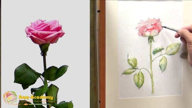 рисуем розы смотреть онлайн